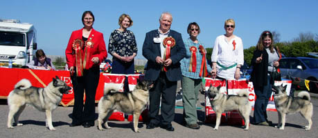 Show winners line-up