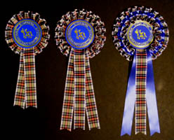 Tartan ribbon