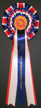 Union Flag single faced satin Moocraft Special